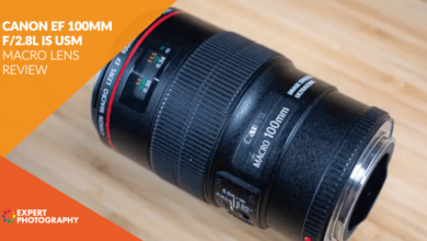 Photo of Revisão de lente macro Canon EF 100 mm f / 2.8L IS USM 2020