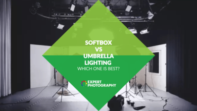 Photo of Softbox vs. iluminação de guarda-chuva (qual é a melhor para você?)