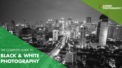 Photo of The Ultimate Guide to Black and White Photography (97 dicas!)