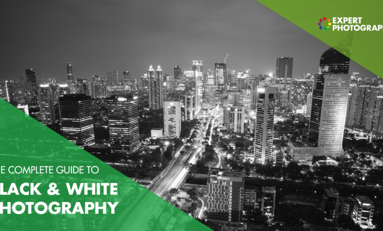 The Ultimate Guide to Black and White Photography (97 dicas!)