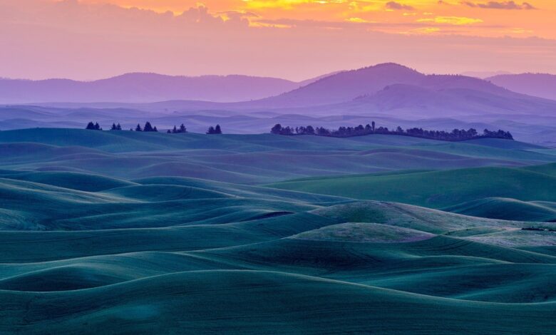 Fotografia de paisagens de belas artes: o guia completo