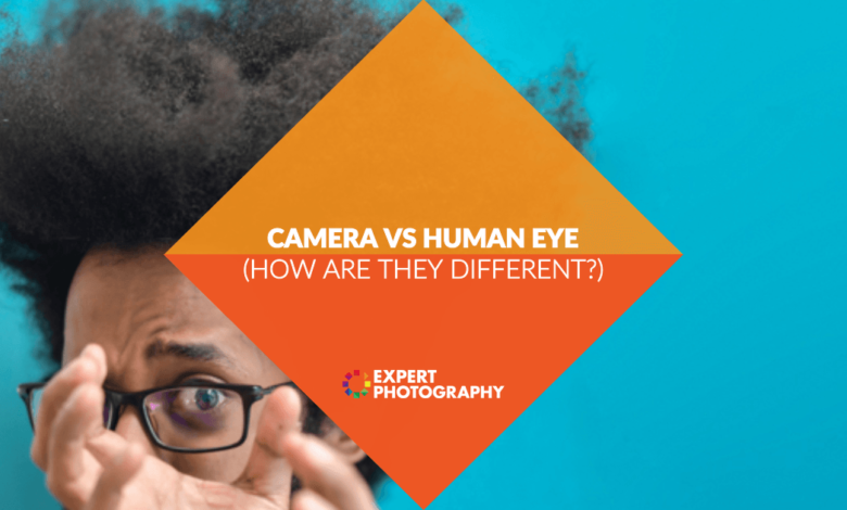 Câmera x olho humano (o olho funciona como uma câmera?)