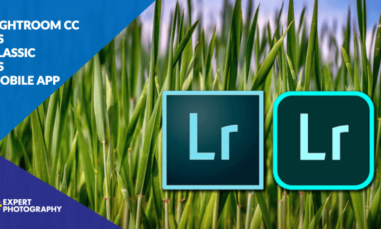 lightroom classic vs lightroom cloud