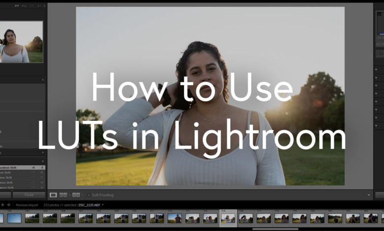 How to Use LUTs in Lightroom