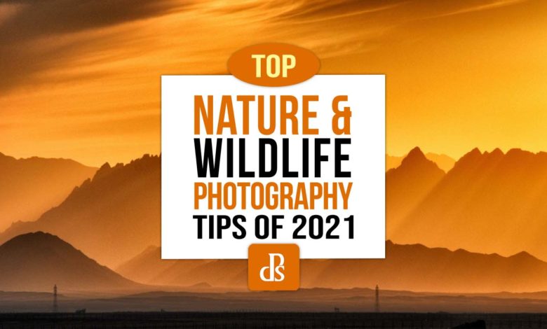 dPS Melhores dicas de fotografia de natureza e vida selvagem para 2021