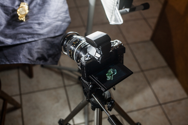 Escolhemos a Olympus OM-D, uma câmera micro de quatro terços com uma Nikon 55mm Micro-NIKKOR conectada por meio de um adaptador.  dando uma olhada hoje