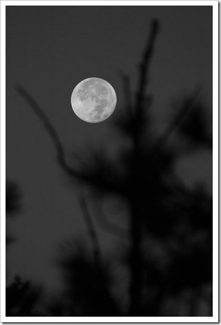 O básico da melhor fotografia lunar