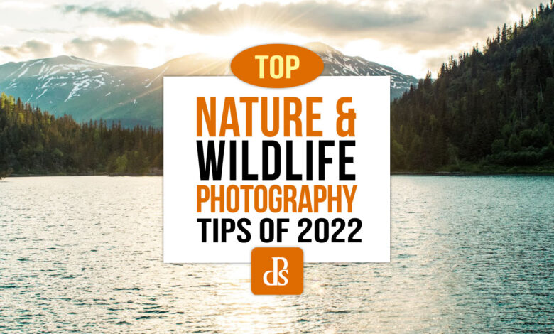 Principais dicas de fotografia de natureza e vida selvagem da dPS de 2022