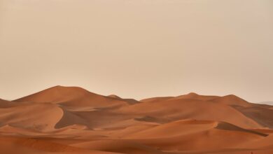 Photo of 6 dicas para capturar fotos inesquecíveis do deserto