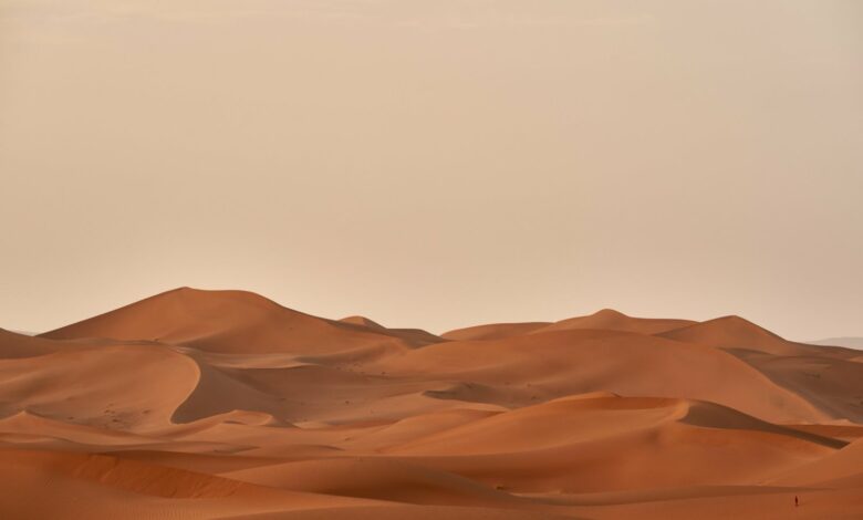 6 dicas para capturar fotos inesquecíveis do deserto